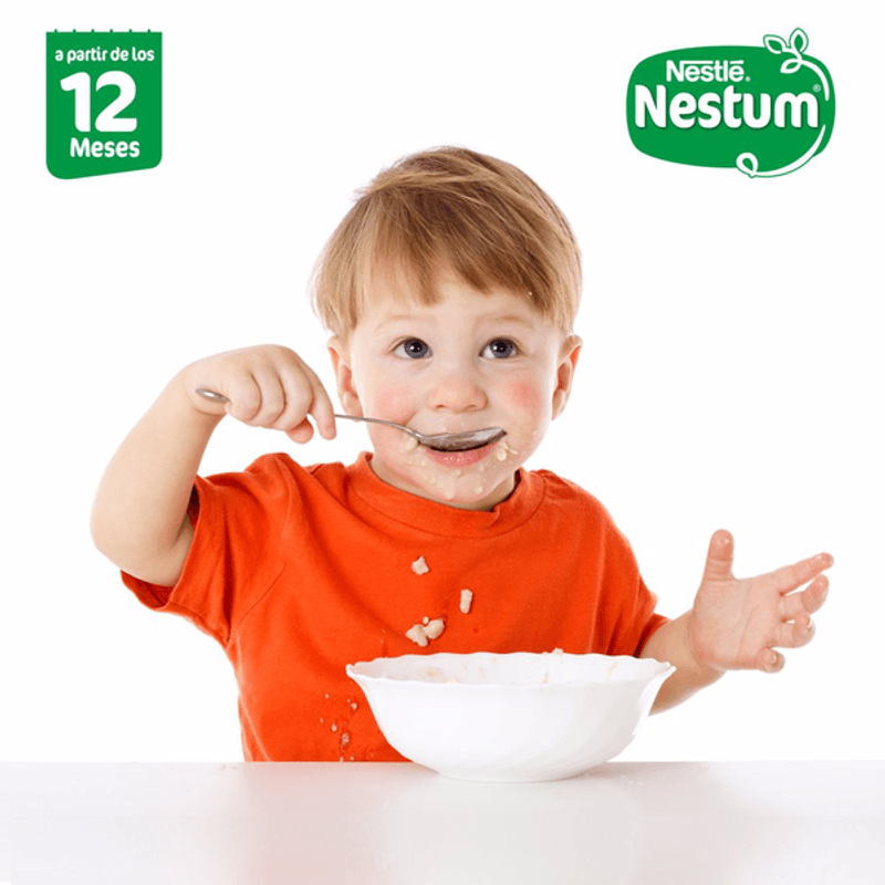 Nestlé NESTUM Cereal Infantil Trigo y Miel, 270 g –