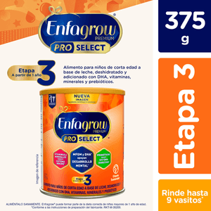 Enfagrow 3 Alimento Lácteo a partir de 1 año 375 g