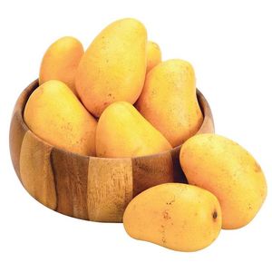 Mango Ataulfo Mt