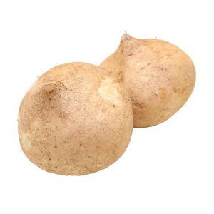 Jicama Mt