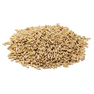 Avena en Grano Mt 1 Kg