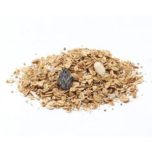 Granola Mt 1 Kg