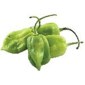 Chile Habanero Mt 1 Kg