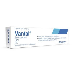 Vantal 5 % Gel 60 G Clorhidrato de Bencidamina 60 Gr