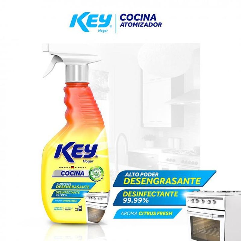 Key Hogar Desengrasante Para Cocina 650 Ml - H-E-B México