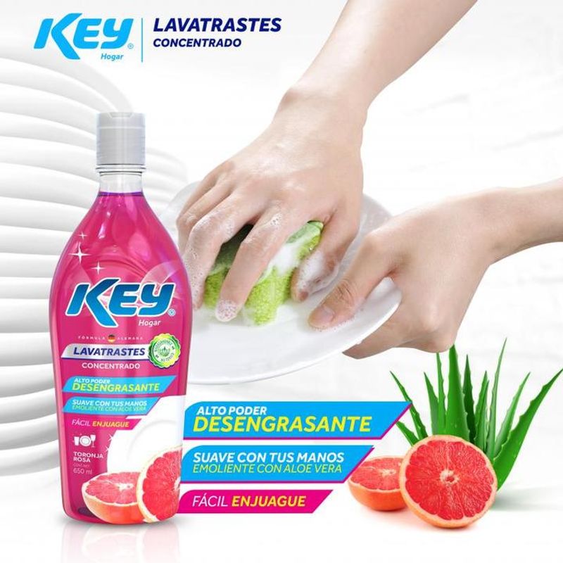 Key Hogar Desengrasante Para Cocina 650 Ml - H-E-B México