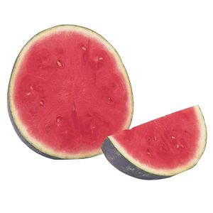 Sandia R Sin Semilla Mt 1000 Kg