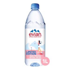 Agua Natural Evian Pet 1 L