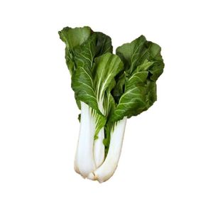 Bok Choy Col 1 Pz