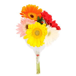 Floral Boutique Bouquet Gerbera