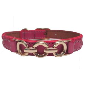 Collar Herraje Chico Correa para Perros de Microfibra Varios Colores Talla Chica