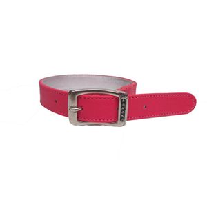 Collar Cuero Reversible Mediano Cortauñas para Perro