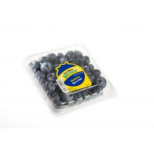 Blueberry 170 g Blue Berris  170 Gr