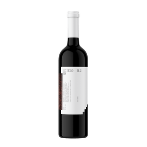 Vino Tinto R2 Cabernet Sauvignon 750 Ml