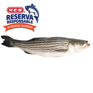 Lobina Rayada Entera Fresca 1 Kg