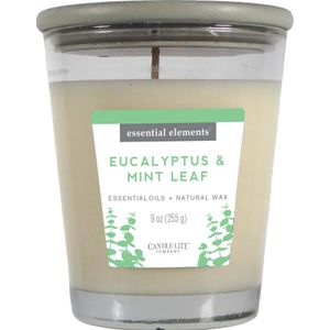 Vela Essential Elements Eucalyptus Mintleaf 9oz 1 Pz