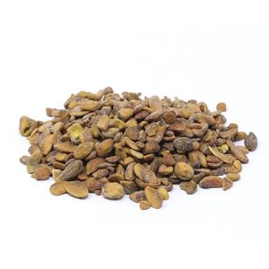 Pistache S/ Cascara 1 Kg