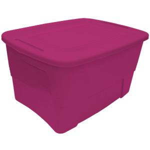 Caja Atlanta 10 Gal Magenta 1 Pz