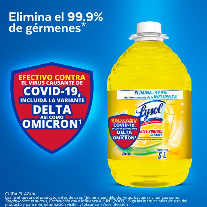 Lysol Limpiador Multiusos Desinfectante Citrus 5 L HEB México