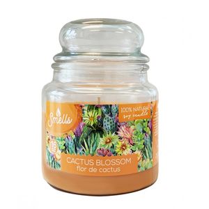 Vela Cactus Blossom 16oz 1 Pz