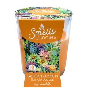 Vela Cactus Blossom 8oz 1 Pz