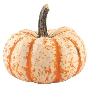 Calabaza Fantasía 1 Kg