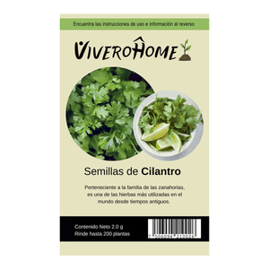 Semillas de Cilantro 1 Pz