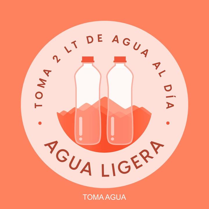 Botella Agua Purificada Bonafont 500ml