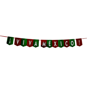 Banner Viva Mexico 1 Pz