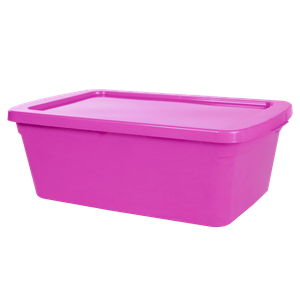 Caja Organizadora Prodeplast Eco Line 6 L Fiusha 1 Pz