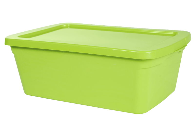 Caja Organizadora De 11 Lts , Ecoline Verde