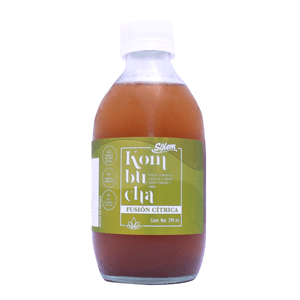 Kombucha Jengibre Y Limón 290 Ml