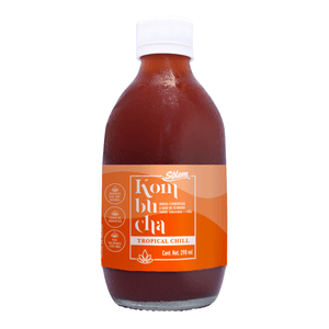 Kombucha Tamarindo 290 Ml