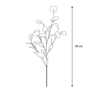 Rama de Eucalipto 1 Pz