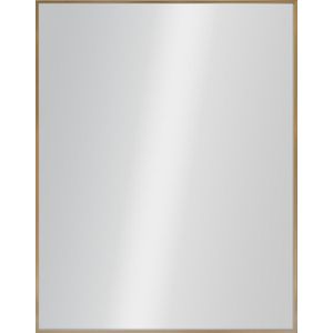 Espejo Champ Rectangular 50x70 Cms 1 Pz