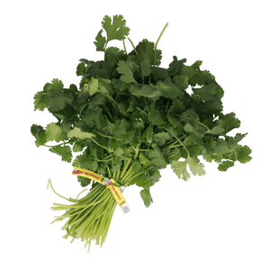 Cilantro Mt 1 Pz