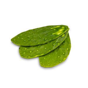 Nopal Limpio 1 Kg