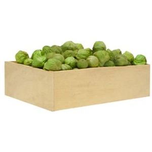 Tomatillo Milpero 1 Kg