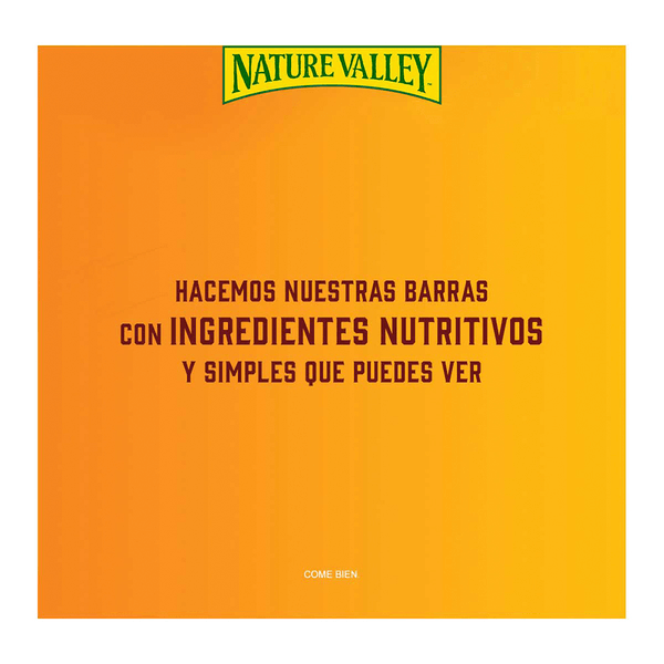 Nature Valley Barras de Granola Trail Mix Fruta 252 g HEB México