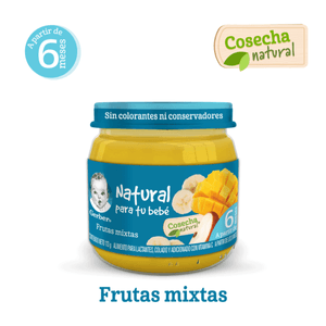 Gerber Papilla Et 2 Frutas Mixtas 113 g