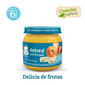 Gerber Papilla Et 2 Delicia Frutas 113 g