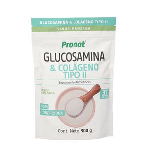 Glucosamina y Colageno Tipo Ii 300 g