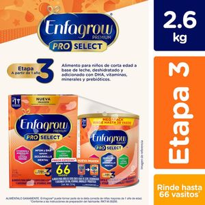 Enfagrow 3 Alimento Lácteo a partir de 1 año 2.6 kg