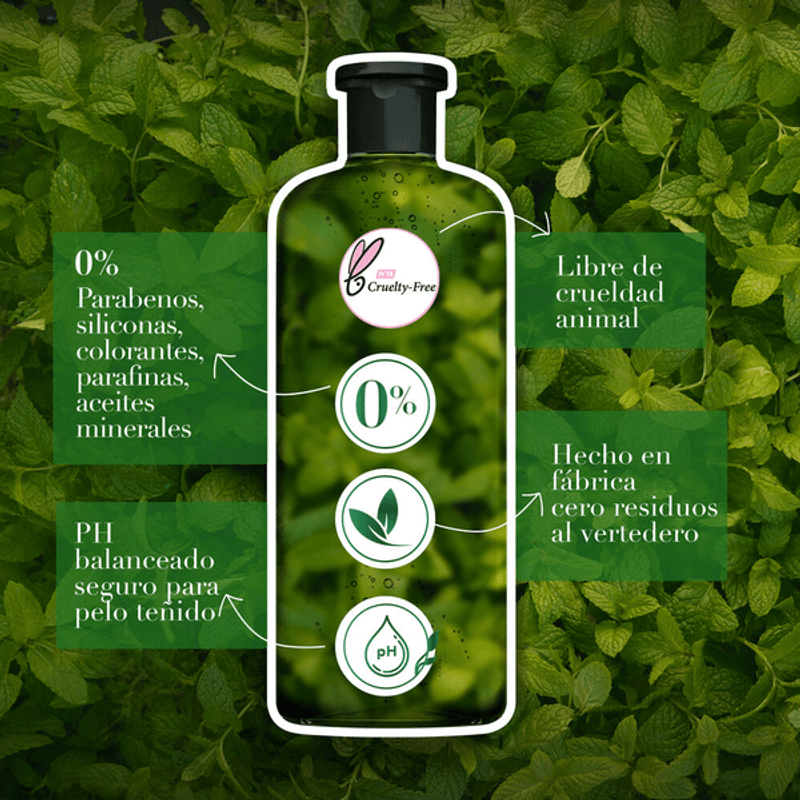 Herbal Essences Shampoo Detox Té Verde Y Menta 400 - Mi Tienda del Ahorro