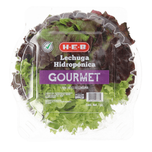 Lechuga Gourmet Hidropónica  1 Cmt