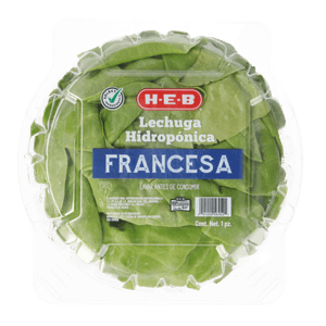 Lechuga Francesa Hidropónica  1 Cmt