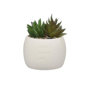 Planta Art Ceramica Suculentas 1 Pz