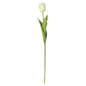 Tulipan Blanco 54 Cm Flores Blanco 1 Pz