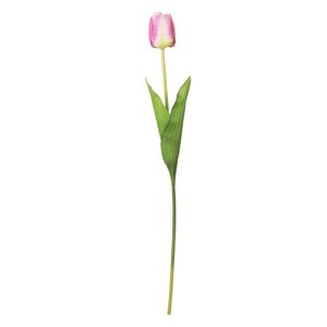 Tulipan Rosa 54 Cm Flores Rosa 1 Pz