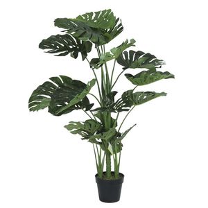 Monstera Grande con Maceta 120 Cm 1 Pz